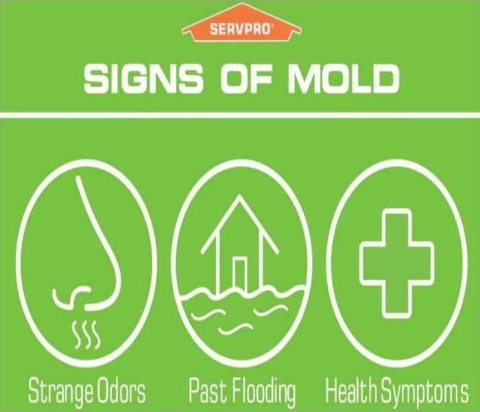 signs of mold - smell, past flooding and health symptoms